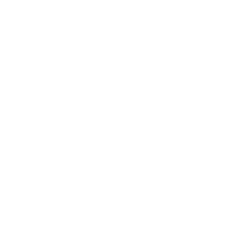 support icon